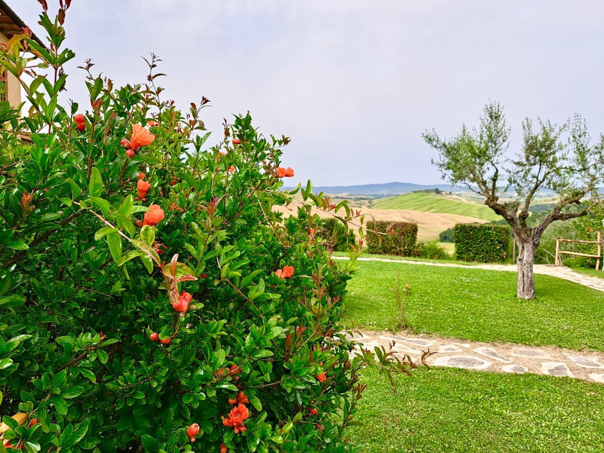 Agriturismo Caliano Ашано Экстерьер фото